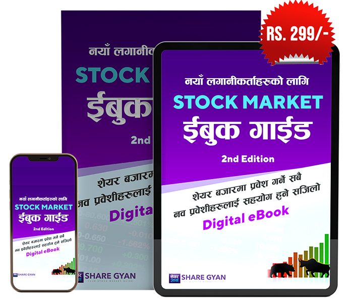 Stock Market Guide eBook