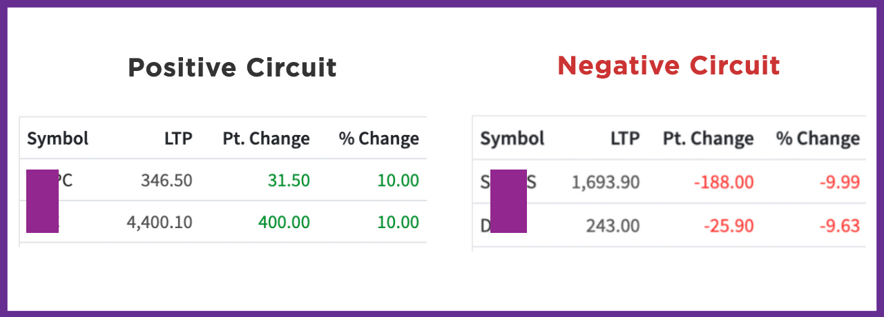 Individual Stock Circuit